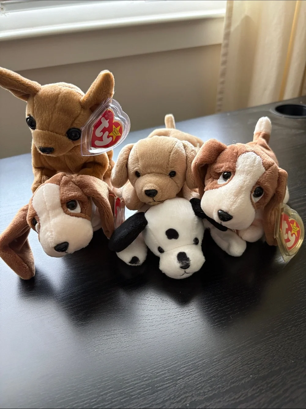 Ty Beanie Babies Plush Dog Set - Brown, Tan, White, Black